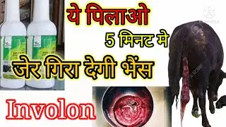 Involon liquid for double strength/Involon liquid foundation/जेर गिराने कि दवा