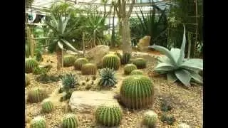 Kings Park botanic, parkland, botanical gardens and natural bushland Western Australia, Australia