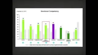 Sales and Leadership Aptitude Assessment Overview