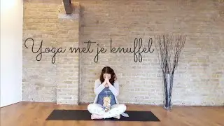 KinderYoga: Yoga met je knuffel