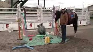 Mounted Patrol Desensitization Training