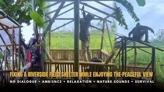 FIXING A RIVERSIDE FIELD SHELTER WHILE ENJOYING THE PEACEFUL VIEW