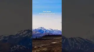 Alaska ULTIMATE Denali Road Trip #shorts #alaska