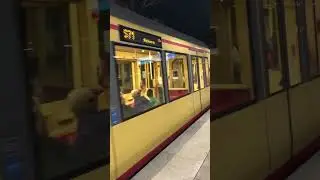 Train ride Badan - Badan to Achern Germany 🇩🇪 @Study-Work-Europe @cookingfellow6750@dryk7151