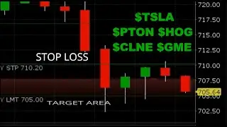 Day trading stocks $TSLA $PTON $CLNE $HOG $GME