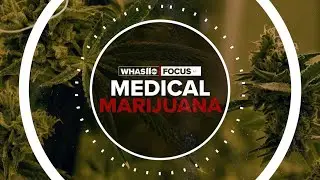 FOCUS: Deep dive into Kentucky's medical marijuana movement