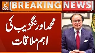Finance Minister Muhammad Aurangzeb Important Meeting | Breaking News | GNN