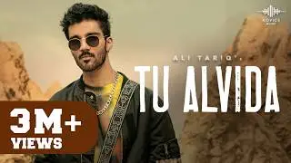 Tu Alvida Official Music Video |  Ali Tariq | Anmol Daniel | Novice Records
