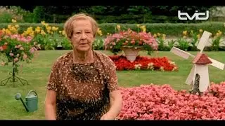 Dora van der Groen overleden