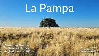 Vlog recorriendo la Reserva Natural Fiorucci y Naicó 🌳 La Pampa