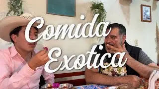 ¿Camarones con salsa de pitaya? 😱🔥
