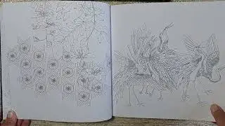 Présentation - Coloriage du livre Songes D'orient d' Inès Carratié
