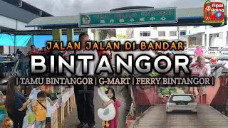 JALAN² DI BANDAR BINTANGOR BELI KEPERLUAN SEKOLAH | PERGI KE MARKET / TAMU BINTANGOR | NAIK FERRY
