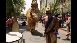 Santa Cruz Pride 2014, Radical Faerie 