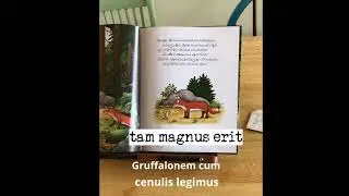 Gruffalonem Dicimus | Talking about 'The Gruffalo' - In Latin