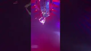 Amazing Brazil Jack Circus 🎪