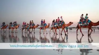 Broome Camel Safaris 15sec