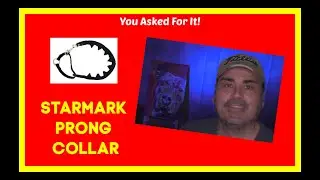 Ошейник для дрессировки собак | Ошейник для дрессировки Starmark Pro | Строгий ошейник