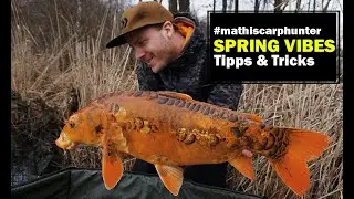 Angeln auf teure Koi und Karpfen in Fr&uuml;hjahr am Baggersee I Carpfishing I Karpfenangeln I Koi