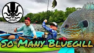 Slaying Bluegill, Near Death Experience With Snake, and Epic Kayaken