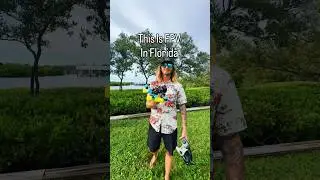This Is FPV in Florida☀️ #fpvdrone #Florida #shorts #fpv