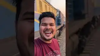 Train Chala Raha Hai Bandar? 🐒🚂 | Real or Magic? #shorts