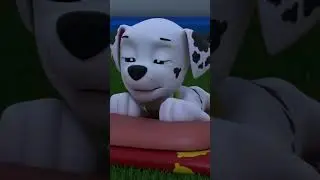 Hora de dormir Marshall - time to sleep - #sleep #pawpatrol #dormir