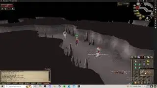 OSRS Slayer Task Reverants Deep Wilderness Player Pking With Kitten to Adult Challenge