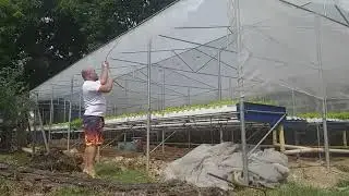 POLYETHYLENE GREENHOUSE FILM BAND | GREENHOUSE PROTECTION