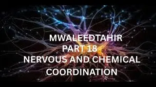 NERVOUS AND CHEMICAL COORDINATION part 18 mcqs series for Medical and Dental College Admission Test