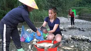 30-Day REWIND: Time-Lapse Fish Trap Journey &ndash; Harvesting Big Fish & Going to Market Sell