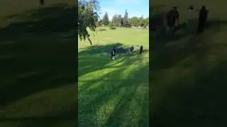 back pedal up hill