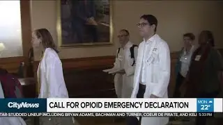 Health-care, harm reduction workers call on Ontario to declare opioid emergency