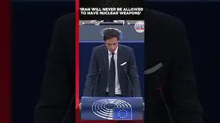 'Iran Can't Be Allowed To Have Nukes' EU MEP Says, 'Israel's Strike Made Us Safer' #shorts
