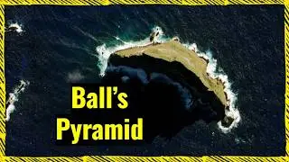 The Island That Hid an 'Extinct' Insect&hellip; Ball&rsquo;s Pyramid