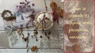 22/2024 Скрапбукинг Покупки и работы. Влог за сентябрь ч1