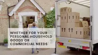 Tampa Movers