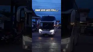 Jarang jarang ada sinar jaya yang begini 😂 #sinarjaya #shorts #short #shortvideo #fyp #kukuh26