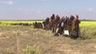 IS militants hand themselves over to US-backed Syrian forces