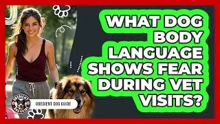 What Dog Body Language Shows Fear During Vet Visits?