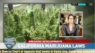 Los Angeles Drug Crime Attorney | Allison Margolin on everything: Medical Marijuana | LegalEase TV