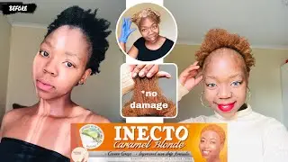 How to dye your hair blonde at home ft INECTO hair dye ( no damage, no bleach)