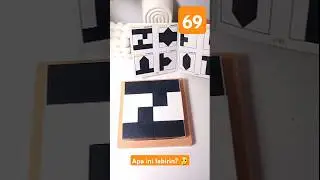 Labirin kah 🧐| Play Hidden Blocks Level 69 #hanabimba #hiddenblocks #puzzle&nbsp;#tutorial #shorts