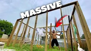 Building NEW Enclosure For MYSTERIOUS Animal!