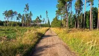 Hiking in Czechia 🟨 Kysibl – Fabiánka | Highlands • 4K HDR