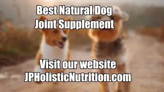 Best Natural Dog Joint Supplement