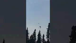 Helicopter 🚁 Helicopter!! Yeah that just happened.  #Helicopter #Wasilla #Alaska