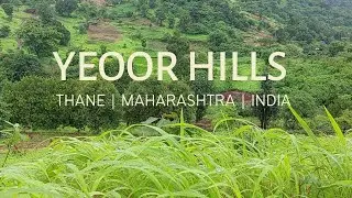 Yeoor Hills Thane | Best One Day Trek | How To Reach