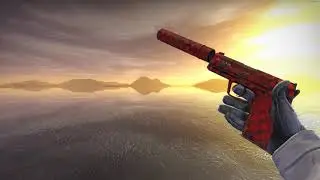 USP-S Check Engine (Minimal Wear)
