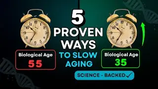 How to Slow Aging Naturally: 5 Evidence-Based Longevity Habits for a Healthier Life